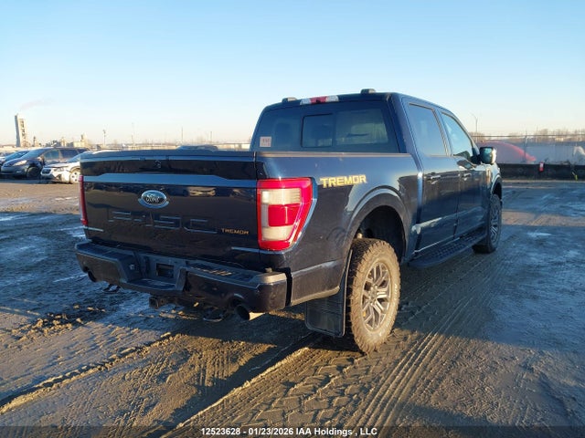 Продаж на аукціоні авто 2023 Ford F150 Supercrew, vin: 1FTEW1E8XPFA28758, номер лоту: 12523628