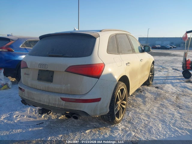 WA1VCAFP1HA064281 Audi Sq5 Prestige