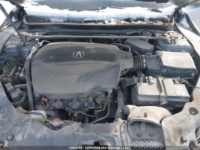 19UUB3F37GA801321 Acura TLX