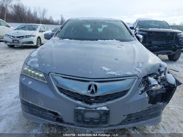19UUB3F37GA801321 Acura TLX