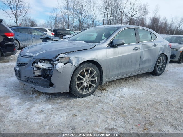 19UUB3F37GA801321 Acura TLX