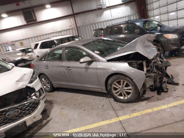 Продаж на аукціоні авто 2016 Hyundai Sonata, vin: 5NPE24AF3GH387392, номер лоту: 12523894