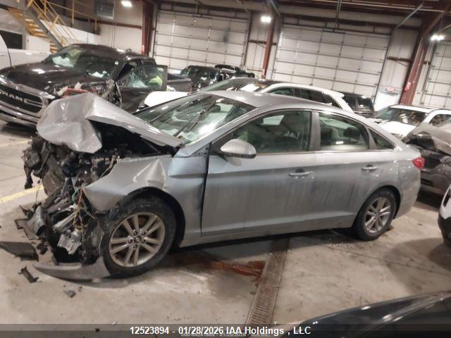 Продаж на аукціоні авто 2016 Hyundai Sonata, vin: 5NPE24AF3GH387392, номер лоту: 12523894