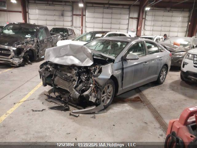 Продаж на аукціоні авто 2016 Hyundai Sonata, vin: 5NPE24AF3GH387392, номер лоту: 12523894