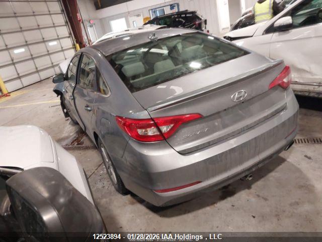 Продаж на аукціоні авто 2016 Hyundai Sonata, vin: 5NPE24AF3GH387392, номер лоту: 12523894