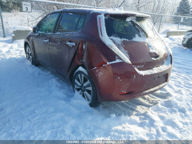 1N4BZ0CP0GC304807 Nissan Leaf