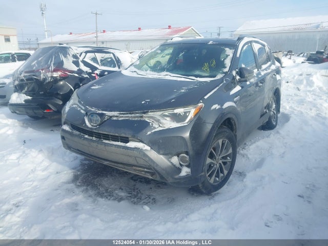 Aukcja sprzedaży 2018 Toyota Rav4, vin: JTMRJREV1JD239418, numer aukcji: 12524054