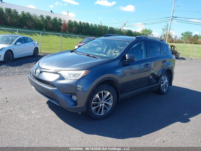 Aukcja sprzedaży 2018 Toyota Rav4, vin: JTMRJREV1JD239418, numer aukcji: 12524054