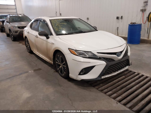 Продаж на аукціоні авто 2020 Toyota Camry Xle/se, vin: 4T1B21HK4LU522783, номер лоту: 12524064