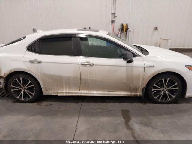 12524064 :رقم المزاد ، 4T1B21HK4LU522783 vin ، 2020 Toyota Camry Xle/se مزاد بيع