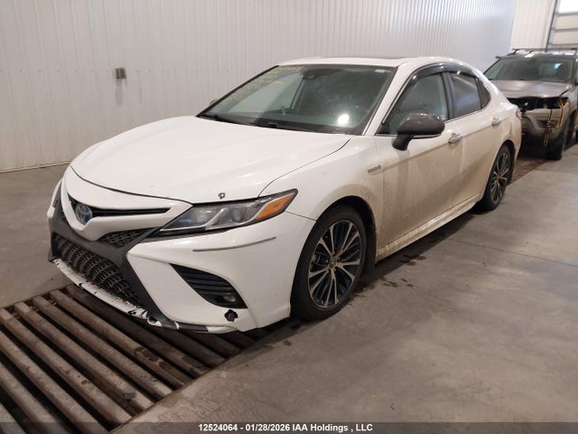 12524064 :رقم المزاد ، 4T1B21HK4LU522783 vin ، 2020 Toyota Camry Xle/se مزاد بيع