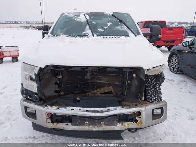 Продаж на аукціоні авто 2015 Ford F150, vin: 1FTEW1EF4FKE12426, номер лоту: 12524172