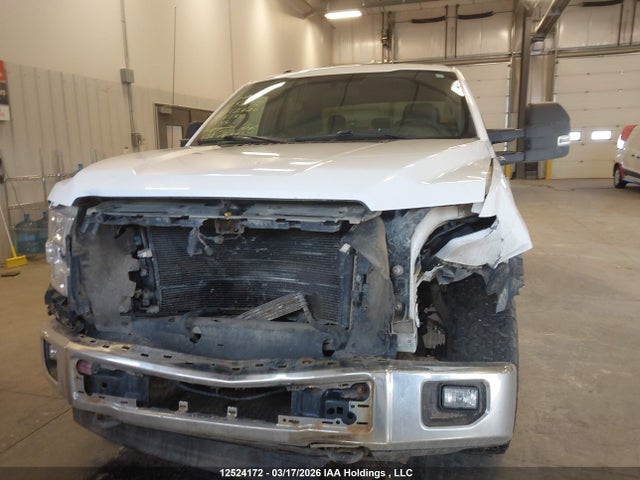 Продаж на аукціоні авто 2015 Ford F150, vin: 1FTEW1EF4FKE12426, номер лоту: 12524172