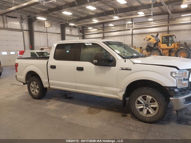 Продаж на аукціоні авто 2015 Ford F150, vin: 1FTEW1EF4FKE12426, номер лоту: 12524172