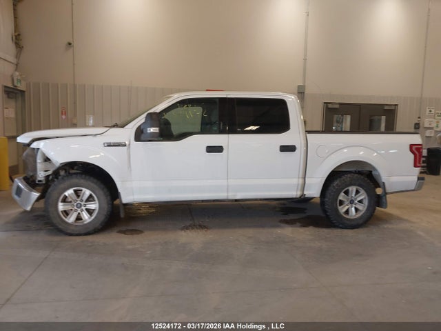 Продаж на аукціоні авто 2015 Ford F150, vin: 1FTEW1EF4FKE12426, номер лоту: 12524172