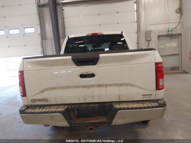 Продаж на аукціоні авто 2015 Ford F150, vin: 1FTEW1EF4FKE12426, номер лоту: 12524172