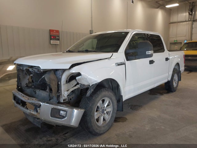 Продаж на аукціоні авто 2015 Ford F150, vin: 1FTEW1EF4FKE12426, номер лоту: 12524172