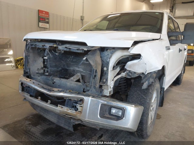 Продаж на аукціоні авто 2015 Ford F150, vin: 1FTEW1EF4FKE12426, номер лоту: 12524172