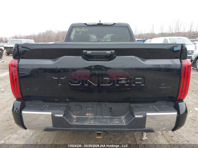 Aukcja sprzedaży 2023 Toyota Tundra Sr5, vin: 5TFLA5EC8PX016300, numer aukcji: 12524220