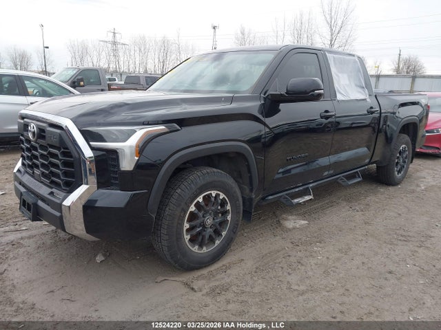 Aukcja sprzedaży 2023 Toyota Tundra Sr5, vin: 5TFLA5EC8PX016300, numer aukcji: 12524220