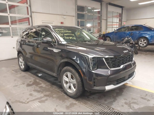 Продаж на аукціоні авто 2025 Kia Sorento, vin: 5XYRGDJC0SG363916, номер лоту: 12524260