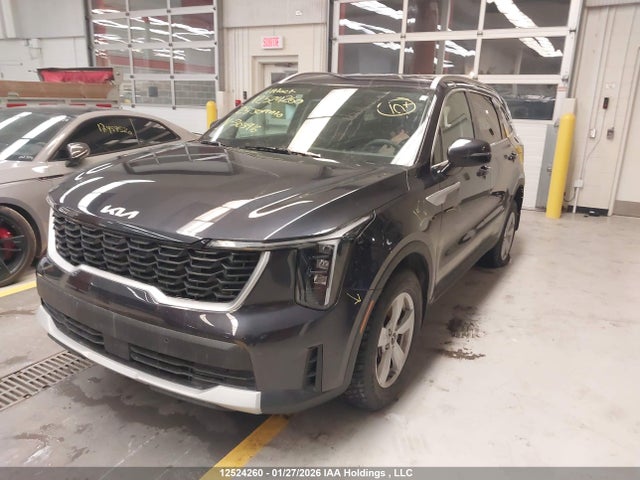 Продаж на аукціоні авто 2025 Kia Sorento, vin: 5XYRGDJC0SG363916, номер лоту: 12524260