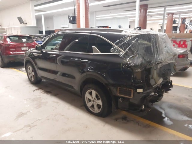 Продаж на аукціоні авто 2025 Kia Sorento, vin: 5XYRGDJC0SG363916, номер лоту: 12524260