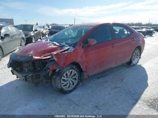 2T1BURHE4HC940420 Toyota Corolla L/le/xle/se/xse