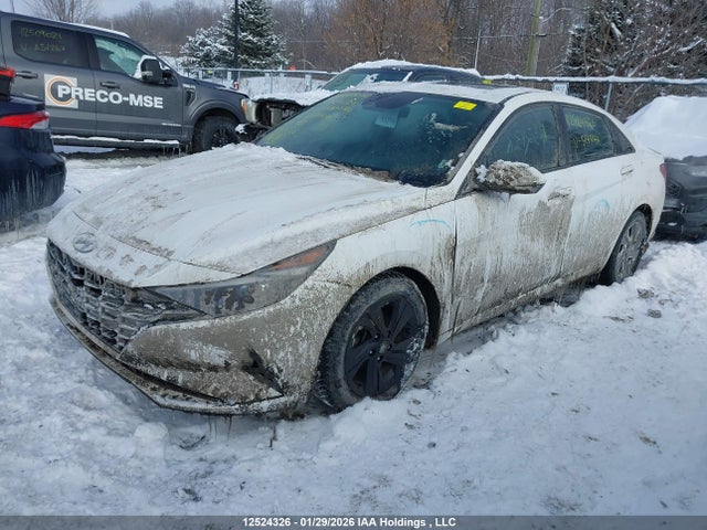 KMHLM4AG3NU317044 Hyundai ELANTRA SEL