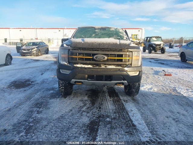 1FTEW1E86NFB95535 Ford F-150 Tremor
