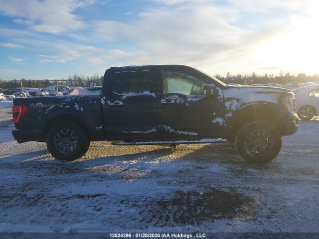 1FTEW1E86NFB95535 Ford F-150 Tremor