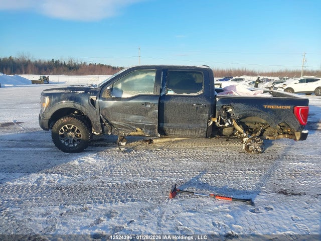 1FTEW1E86NFB95535 Ford F-150 Tremor
