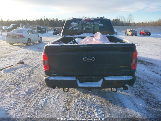 1FTEW1E86NFB95535 Ford F-150 Tremor