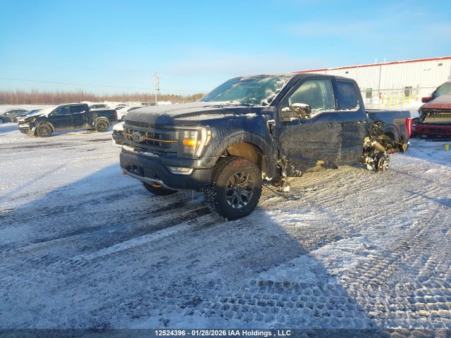 1FTEW1E86NFB95535 Ford F-150 Tremor