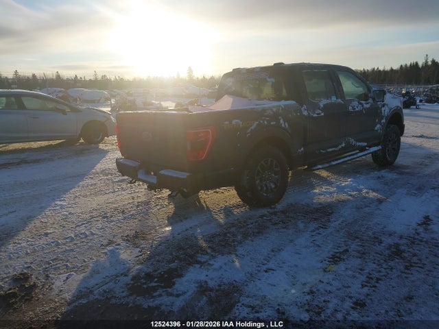 1FTEW1E86NFB95535 Ford F-150 Tremor