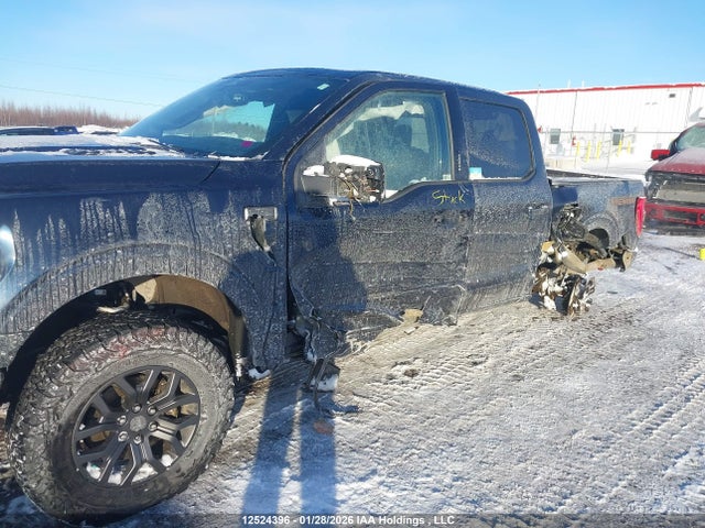 1FTEW1E86NFB95535 Ford F-150 Tremor
