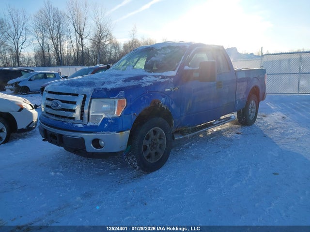 2011 Ford F150 Super Cab მანქანა იყიდება აუქციონზე, vin: 1FTFX1EF0BFB26240, აუქციონის ნომერი: 12524401