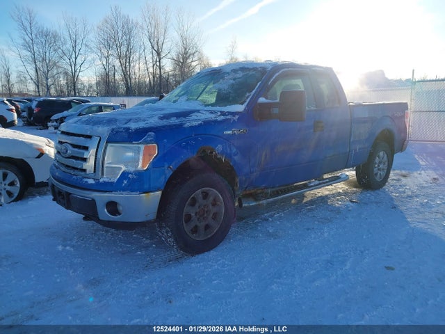 2011 Ford F150 Super Cab მანქანა იყიდება აუქციონზე, vin: 1FTFX1EF0BFB26240, აუქციონის ნომერი: 12524401