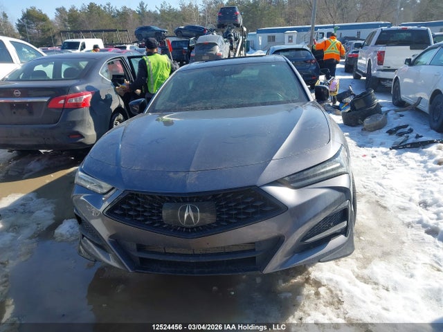 19UUB6F5XMA800680 Acura Tlx A-spec