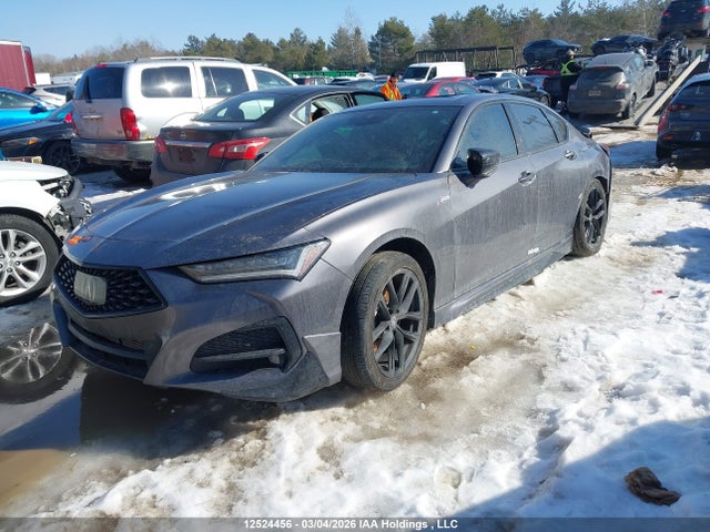 19UUB6F5XMA800680 Acura Tlx A-spec