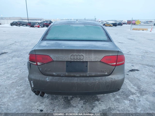 Продаж на аукціоні авто 2010 Audi A4 Premium Plus, vin: WAUFFCFL7AN054103, номер лоту: 12524502