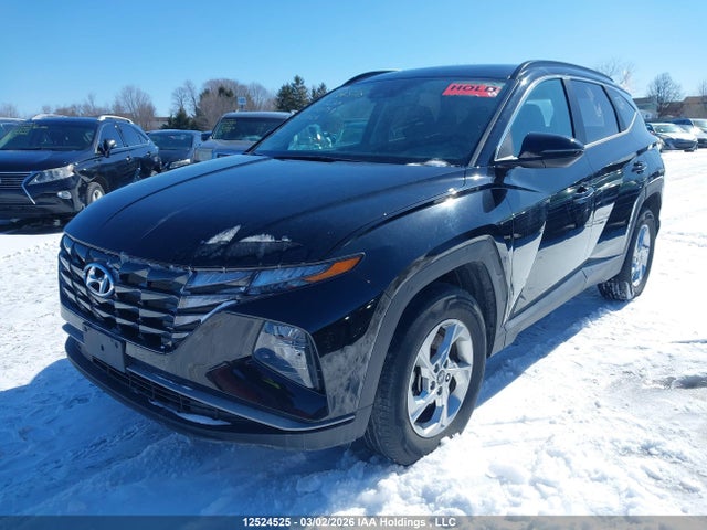 KM8JBCAE0NU021999 Hyundai Tucson Preferred Awd