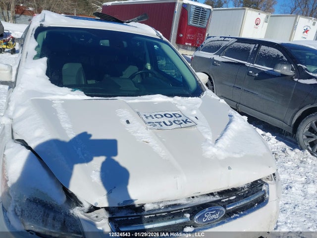 2014 Ford Escape Titanium მანქანა იყიდება აუქციონზე, vin: 1FMCU9J90EUA95335, აუქციონის ნომერი: 12524543