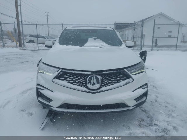 5J8TC2H69ML803596 Acura Rdx A-spec