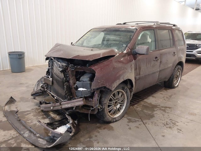 2014 Honda Pilot Ex-l მანქანა იყიდება აუქციონზე, vin: 5FNYF4H57EB050671, აუქციონის ნომერი: 12524597