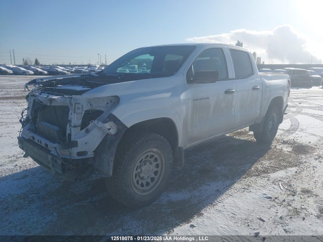 1GCGTBECXP1163649 Chevrolet Colorado Wt