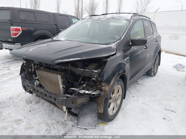 12524721 :رقم المزاد ، 1FMCU0F74HUD70146 vin ، 2017 Ford Escape S مزاد بيع