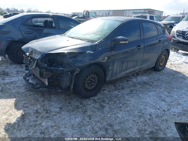 1FADP3K24EL113524 Ford Focus