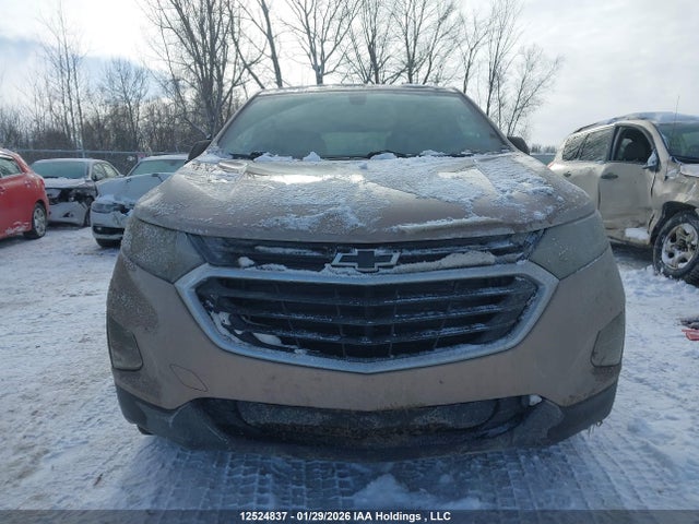 2GNAXUEV8K6272163 Chevrolet EQUINOX LT