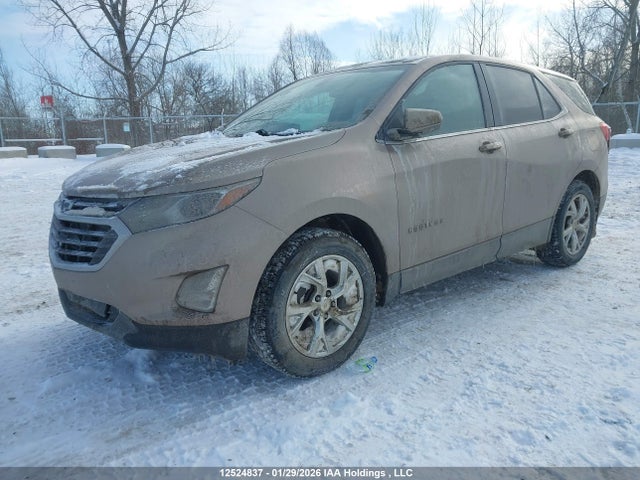 2GNAXUEV8K6272163 Chevrolet EQUINOX LT